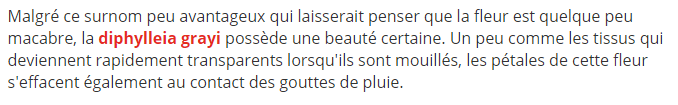 fleur-squelette-texte.png