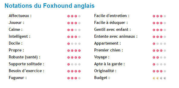foxhund-note.png