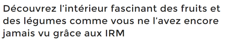 fruit-irm-titre_1.png