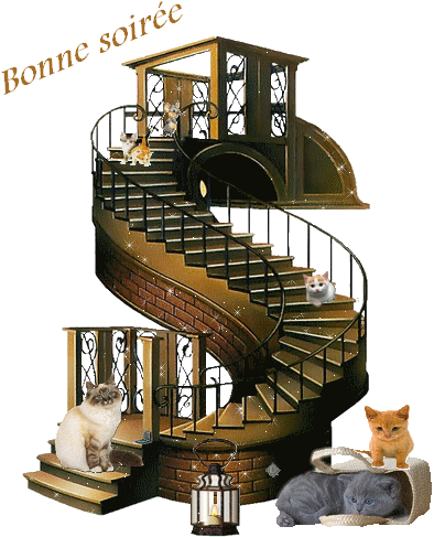 gif-bonne-soiree-escalier-chats.gif