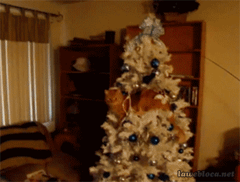 gif-chat-casse-sapin.gif