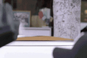 gif-chat-conducteur.gif