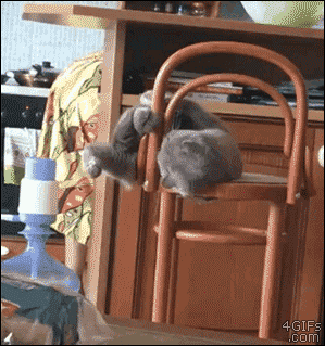 gif-chat-tombe-avec-tabouret.gif