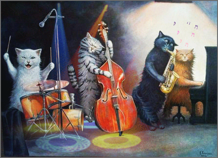 gif-chats-orchestre.gif