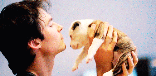 gif-homme-bisous-chiot.gif
