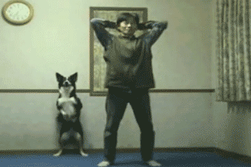 gif-humour-chien-et-homme-gym.gif