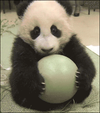gif-panda-ballon.gif
