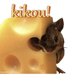 gif-souris-fromage.gif
