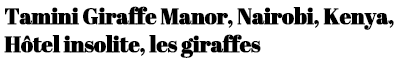 girafe-titre.png