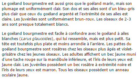 goeland-bourgmestre-texte2.png