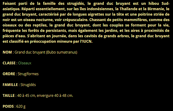 grand-duc-texte1.png