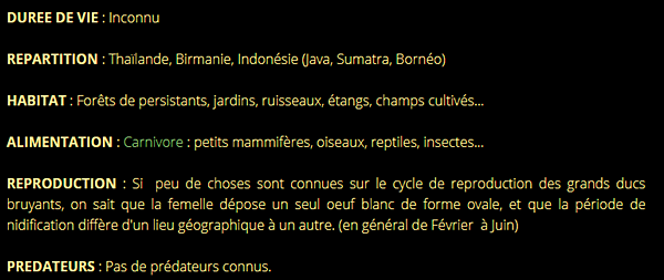 grand-duc-texte2.png