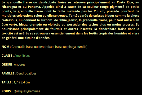 grenouille-texte1.png