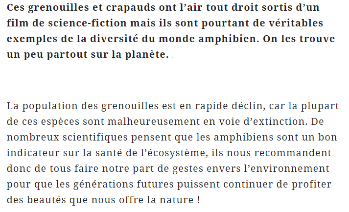 grenouille-texte_1.png