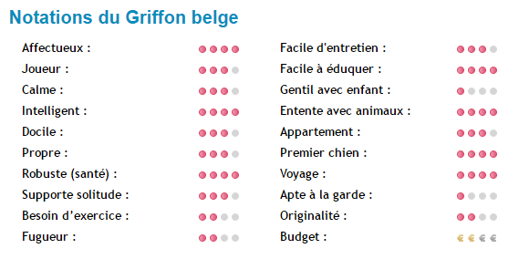 griffon-belge-note.png