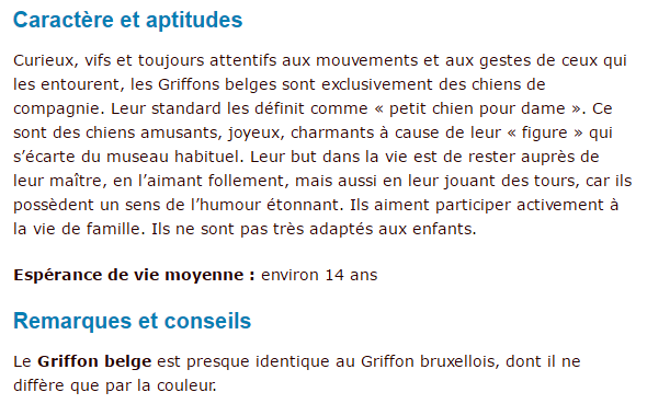 griffon-belge-texte2.png