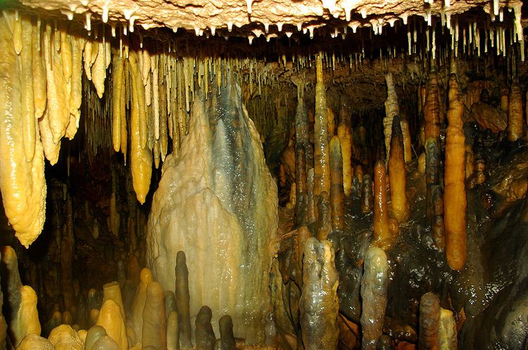 grotte-de-la-verna.jpg