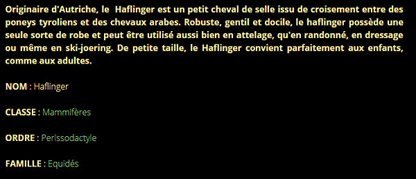 haflinger-texte1.png