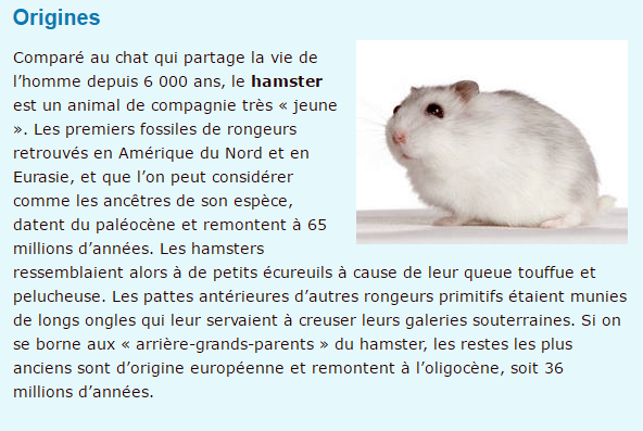 hamster-texte1.png