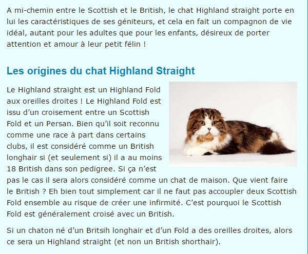 highland-texte1.png