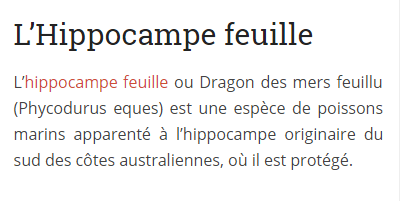 hippocampe-feuille-texte.png