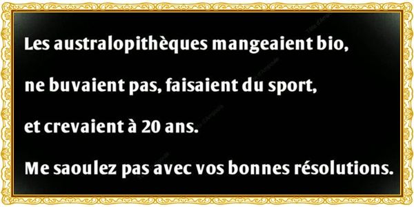humour-australopitheques.jpg