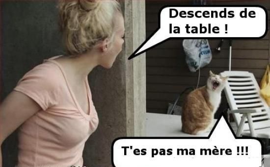 humour-chat-table.jpg