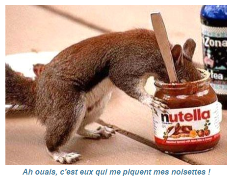 humour-ecureuil.png