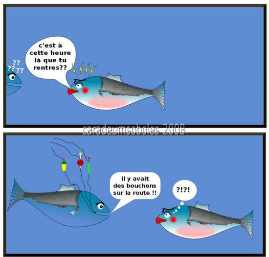 humour-poissons.jpg