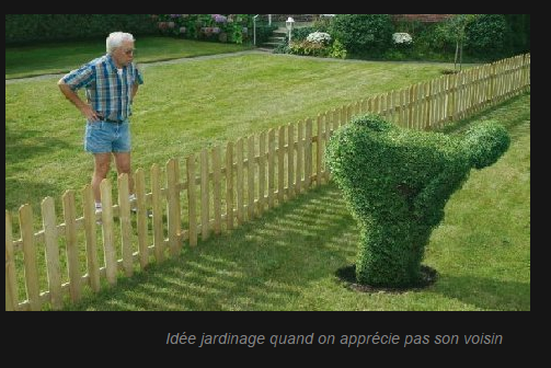 Résultat de recherche d'images pour "jardinage humour"