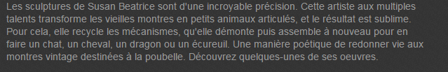 inso-montre-texte.png