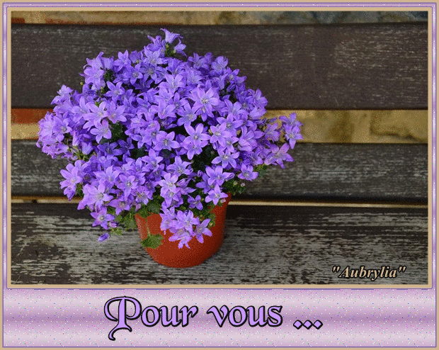 joli-bouquet17.gif