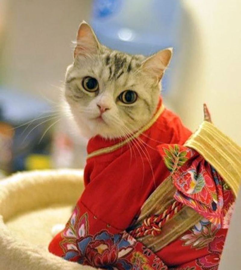 kimono9.jpg