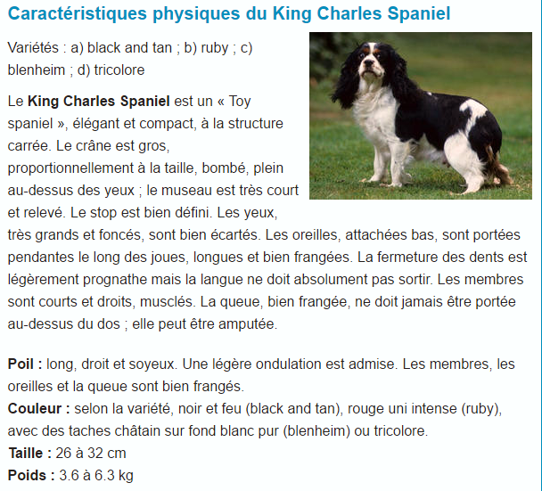 king-charles-titre.png