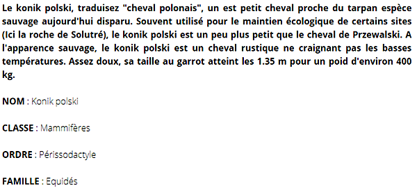 konik-texte1.png