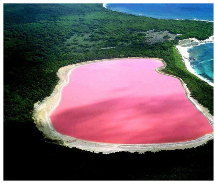 lac-rose-photo.png