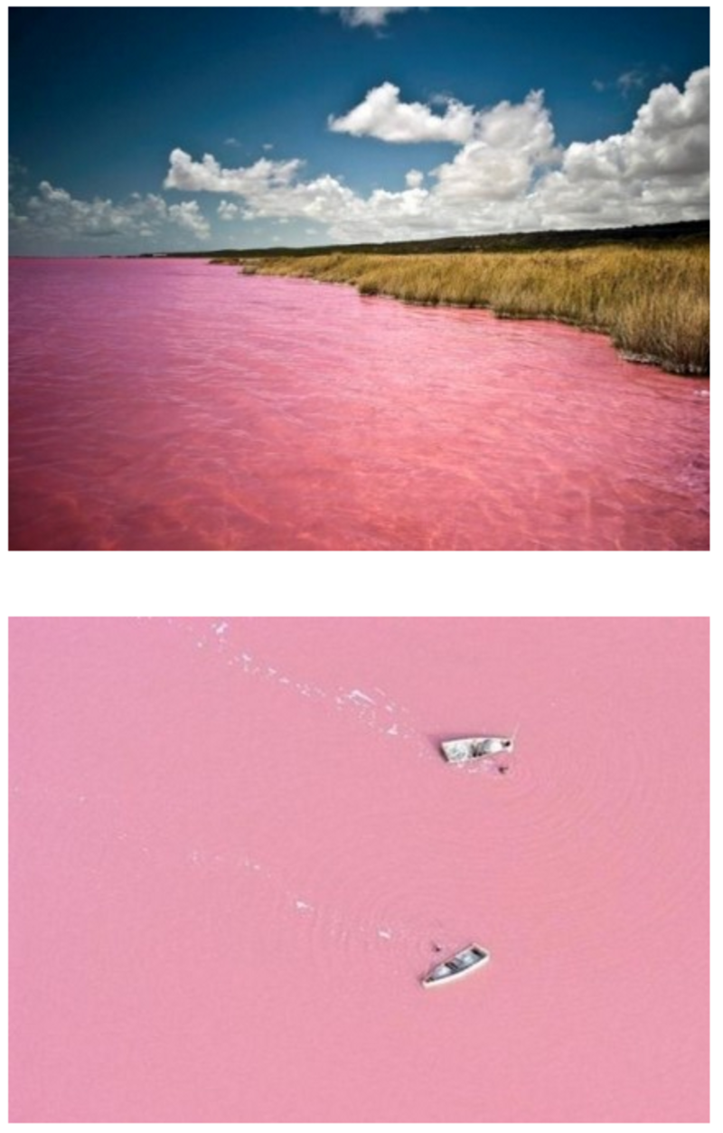 lac-rose-photo2.png