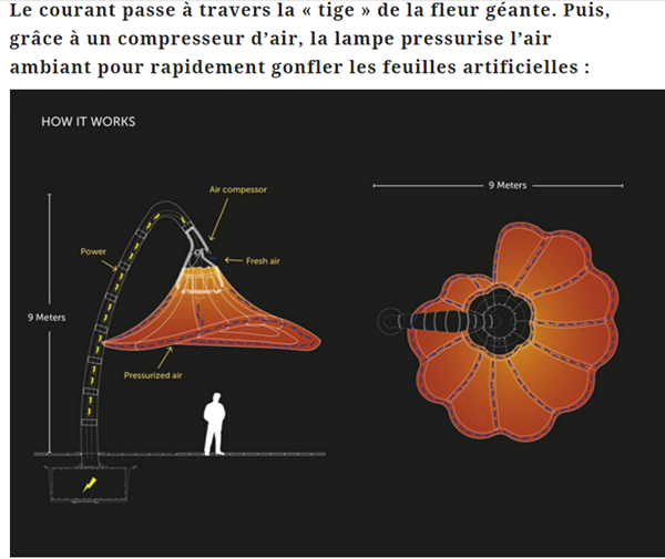 lampadaire-explication.png