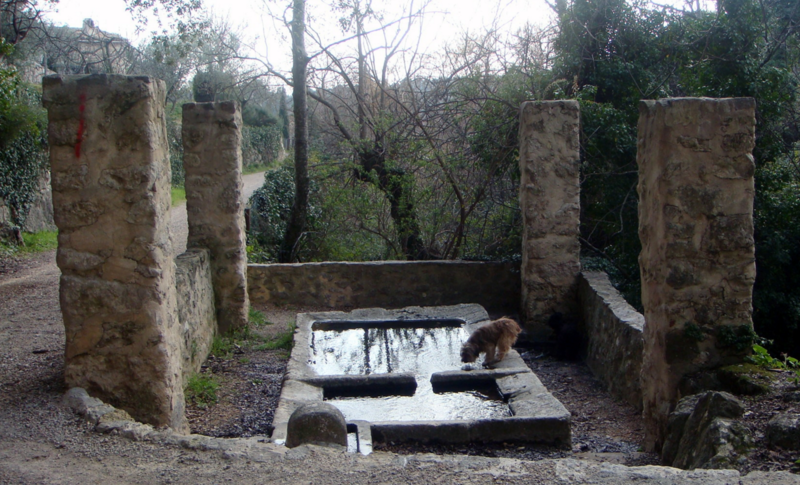 lavoir-callas.png