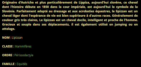 lipizzan-texte1.png