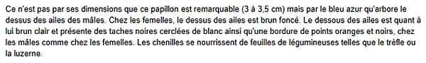 lycene-texte.png