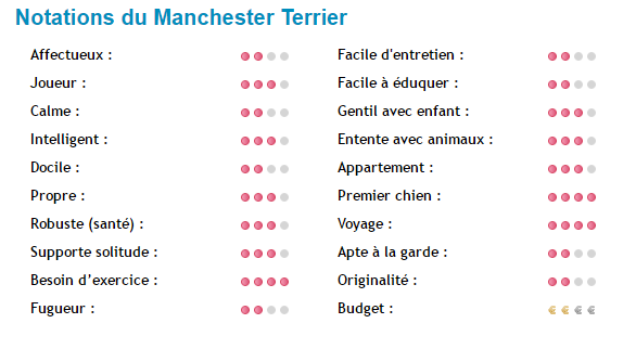 manchester-terrier-note.png