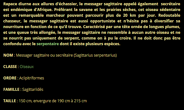 messager-texte1.png