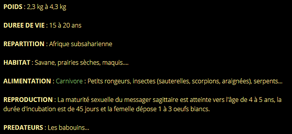 messager-texte2.png