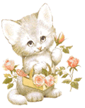 minigif-chat-fleur.gif