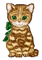 minigif-chat-yeux-verts_1.gif