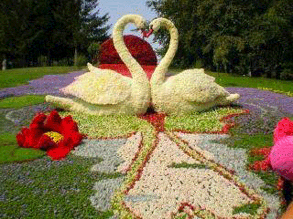 mosaiculture4.gif