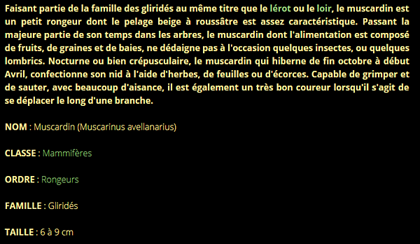 muscardin-texte1.png
