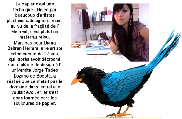nicole-oiseau-presentation.png