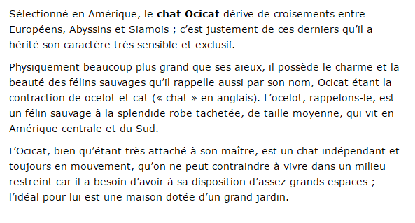 ocicat-texte1.png